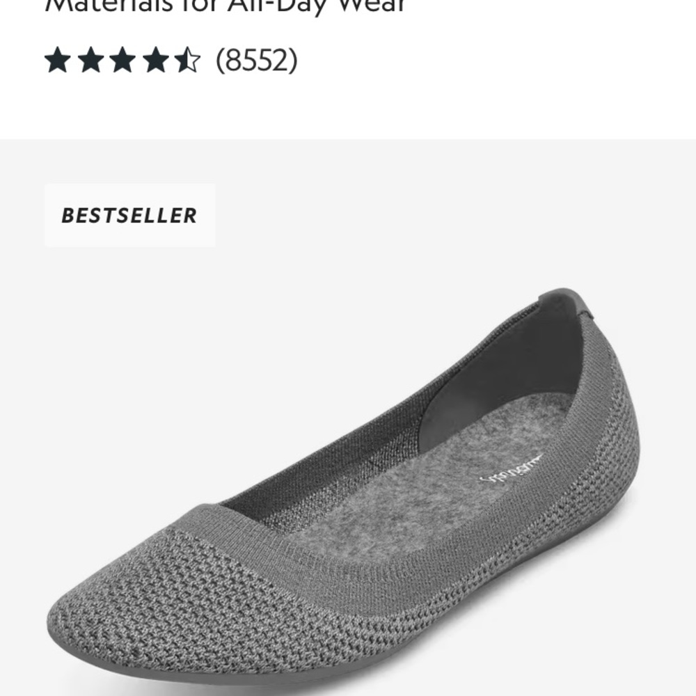 Allbirds Gray Flats Minimalist Design NWOT